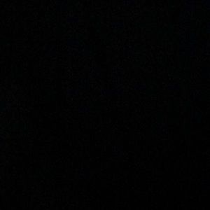 Meet your Posher, Herman